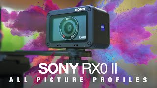 Sony RX0 II HandsOn  ALL PICTURE PROFILES [upl. by Zetnas13]