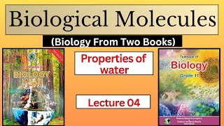 importance of water  properties of water  biological molecules  class 11 biology Sindh board [upl. by Atiluap267]