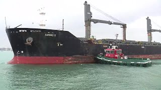 Freighter runs aground in Detroit River between downtown amp Belle Isle [upl. by Nobile]