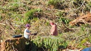 Planting trees [upl. by Michelle]