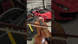 Violin and Ferrari ❤️‍🔥 [upl. by Senaj]