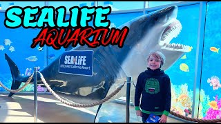 Legoland Aquarium Tour Walkthrough  Sea Life [upl. by Milon]