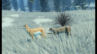 Yellowstone Unleashed Roblox Bobcat [upl. by Eckmann]