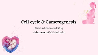 Embryology I Cell cycle  Gametogenesis  Dana Almazroua  FND 111 [upl. by Anniahs]