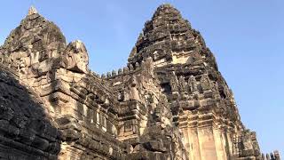 Phimai been conquered by Common Myna [upl. by Kwang1]