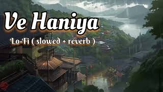 Ve Haniya Song LoFi slowedreverb version 2024 New instagram trending song reels special [upl. by Cattima797]