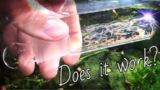 PLANARIA TRAP Review [upl. by Lessig583]