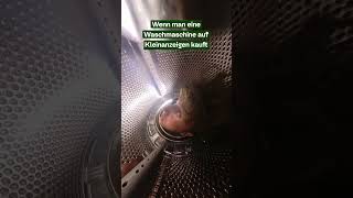 Wie riecht die Waschmaschine 👃🏻👀 360grad kleinanzeigen lustig [upl. by Moureaux]