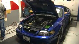 2003 Mustang SVT Cobra Dyno  Intake Pulley Tune Exhaust [upl. by Ardnalac]