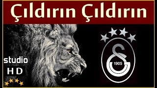 Çıldırın Çıldırın Stüdyo  Galatasaray Marşları [upl. by Egidius165]