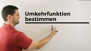 Ablauf Umkehrfunktion bestimmen  Mathe by Daniel Jung [upl. by Irehj284]