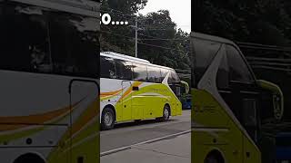 Sagay City Bus Spotting  October 24  Teaser fyp busenthusiast philippines buses busspotting [upl. by Aridan]