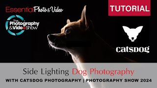 CatsDog Photography  Side Profile Studio Lighting for Dog Photography  The Photography Show 2024 [upl. by Artcele]