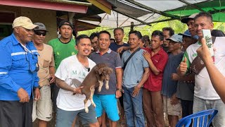 FLOKI JUNIOR DARI KALIMANTAN TIMUR ‼️ SEMUA ORANG HERAN LIHAT KEPINTARANNYA [upl. by Socin776]