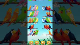 cute birds 🐦 30  bird short game  bird short game shortfeed [upl. by Nosnarb]