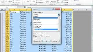 Summarizing Data Using Subtotals in Excel [upl. by Tiana]