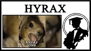 Hyraxes Are Cool [upl. by Wrdna683]