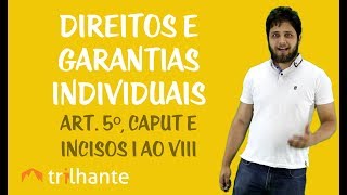 Direitos e Garantias Individuais Art 5º caput e incisos I ao VIII [upl. by Coh425]