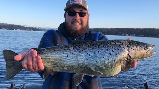 We caught a 8 POUND SALMON on Lake Winnipesaukee [upl. by Lura]