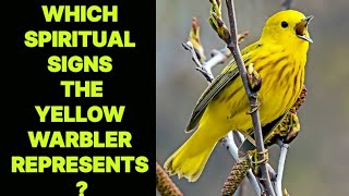 WHICH SPIRITUAL SIGNS THE YELLOW WARBLER BIRD REPRESENTS [upl. by Ardiedak]