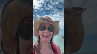 Wild Dolphin Interaction At St Kitts Island Carambola Beach Club Resort [upl. by Talley113]