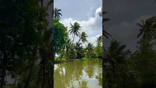 Kerala BackWaters India [upl. by Aileno]