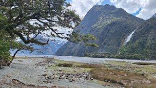 Milford Sound Foreshore Walk [upl. by Domingo742]