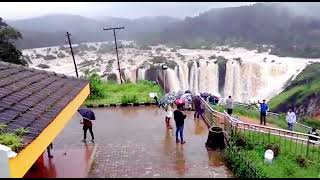 Jog falls Karnataka [upl. by Lodge184]