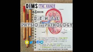 01 Renal Physio amp Patho [upl. by Izabel]