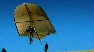 Leonardo da Vinci Glider  reality test Rate My Science [upl. by Inaffets]