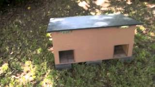 DoItYourself Feral Cat Shelter Overview [upl. by Anrehs]