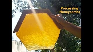 Processing Your Harvested Honey [upl. by Nikolai]