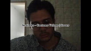 Sozinho  Caetano Veloso  Cover [upl. by Hoo567]