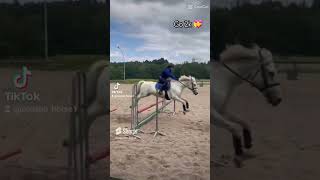 Le côté noir des réseaux mais on va pas sarrêter cheval chevaux shorts equitation equestrian [upl. by Frasch869]