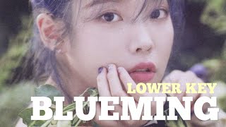 KARAOKE Blueming  IU Lower Key  Forever YOUNG [upl. by Attenad]