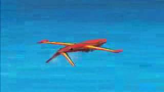 Fouga Magister Belgian Air Component solo display [upl. by Jerrine493]