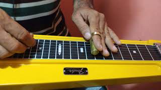 O Jardineiro que Chora lap steel Fender 8 Guitarra havaiana [upl. by Akceber663]