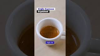 Single Espresso Shot Explained in the Specialty Cafe barista recipe amp technique [upl. by Hallvard]