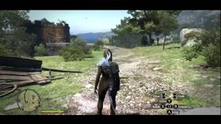 Dragons Dogma  Trouble with bandits not likely [upl. by Desdee313]