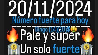 PALE Y SUPER PALE PARA HOY MIÉRCOLES 20112024 BiNGO 14 10FELICIDADES 🤑💯🏦👺🔥💰💰💲🏃🏾‍♂️👀🌏🏦 [upl. by Euqnom]