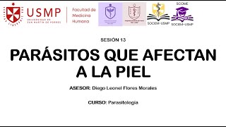 PARASITOLOGÍA  SESIÓN 13  DIEGO FLORES  2024 II [upl. by Ahsikar]