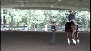 Bill Woods Dressage Training pirouettes under clinician Herwig Radnutter [upl. by Alper]