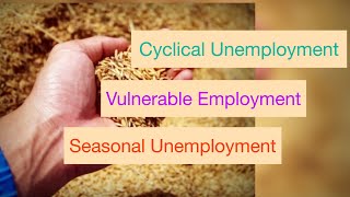 Cyclical Unemployment Vulnerable Employment Seasonal Unemployment [upl. by Talbot]