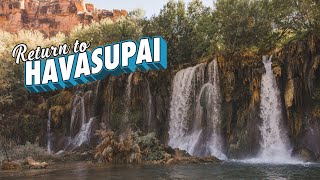 INCREDIBLE Waterfalls at Havasupai  Havasu Falls  Descending Mooney Falls [upl. by Fisoi]