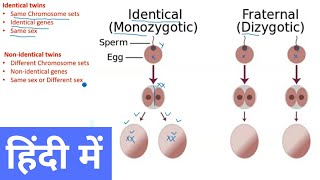 Types of Twins in Hindi [upl. by Crissy]