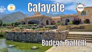 Argentina  Cafayate  Bodega Piattelli [upl. by Abocaj]