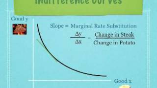 Introduction to Indifference Curves and Budget Lines Economics [upl. by Saiasi]