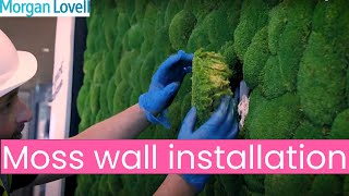 Moss wall installation in a modern London office [upl. by Weide]