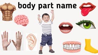 body part name in English [upl. by Linis]