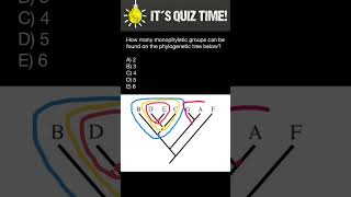 Phylogenetic tree quiz [upl. by Atirahc]